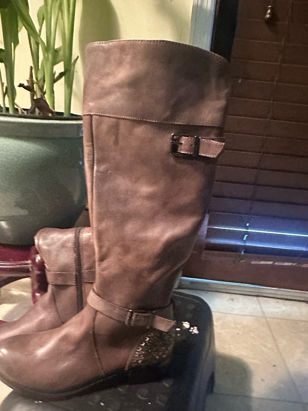 Gianni Bini Brown Tall Buckle Riding Boots